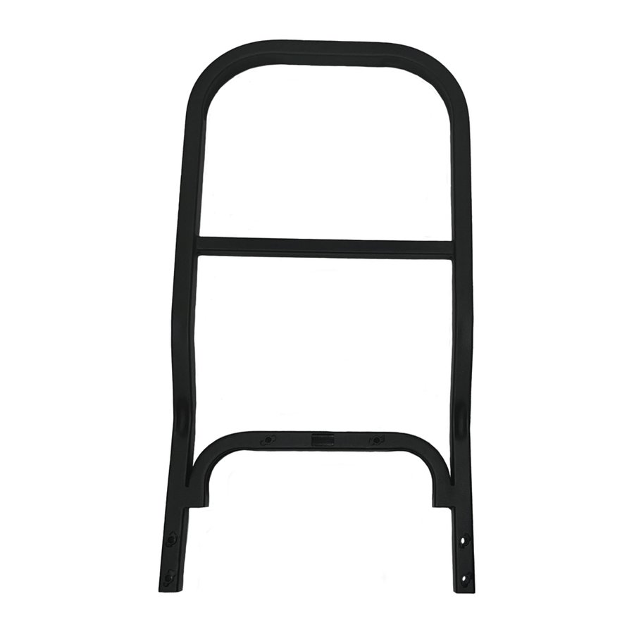 Pulse Rear Grab Bar