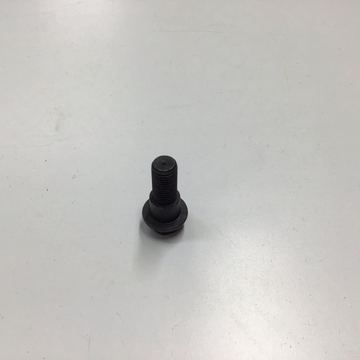 E-Z-GO Hex Bolt